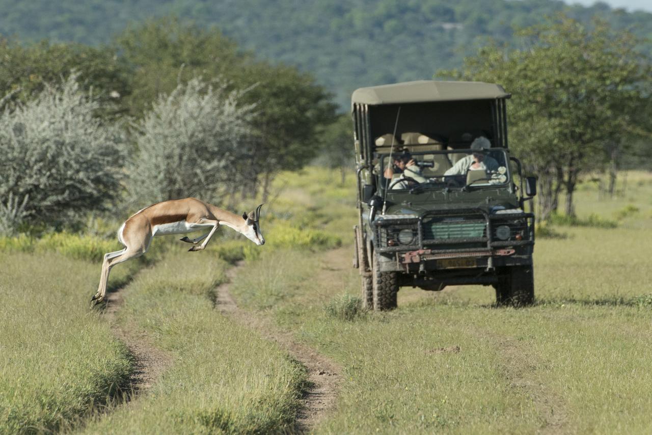 Ongava Tented Camp Okaukuejo Eksteriør bilde