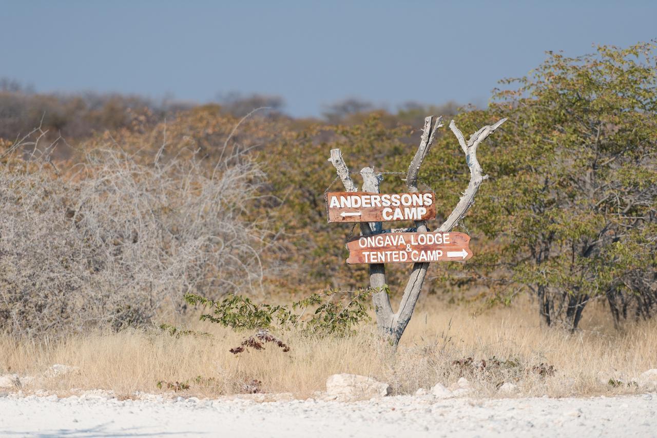 Ongava Tented Camp Okaukuejo Eksteriør bilde